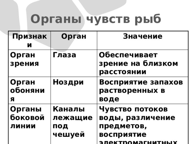 Органы чувств рыб Признаки Орган Орган зрения Значение Глаза Орган обоняния Ноздри Обеспечивает зрение на близком расстоянии Органы боковой линии Восприятие запахов растворенных в воде Каналы лежащие под чешуей Чувство потоков воды, различение предметов, восприятие электромагнитных полей 
