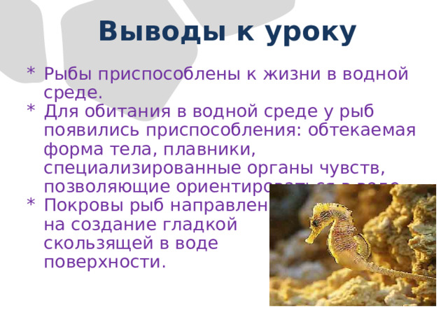  Выводы к уроку Рыбы приспособлены к жизни в водной среде. Для обитания в водной среде у рыб появились приспособления: обтекаемая форма тела, плавники, специализированные органы чувств, позволяющие ориентироваться в воде. Покровы рыб направлены  на создание гладкой  скользящей в воде  поверхности. 