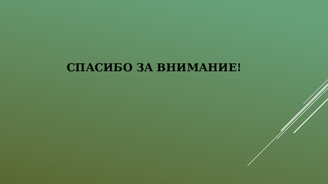  СПАСИБО ЗА ВНИМАНИЕ! 