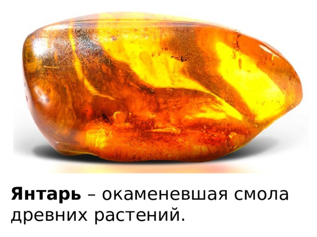 Янтарь – окаменевшая смола древних растений. 