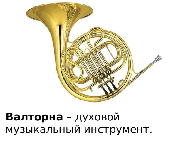 Валторна – духовой музыкальный инструмент. 