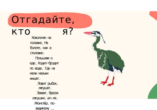 Отгадайте,  кто  я? Хохолочек  на  головке ,  На  болоте ,  как  в  столовке : Помышляя  о  еде ,  Ходит - бродит  по  воде ,  Где  на  мели  мальки  кишат . Ловит  рыбок ,  лягушат . Захват ,  бросок  лягушки ,  ап - ля .  Жонглёр ,  по - видимому  … 
