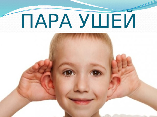 ПАРА УШЕЙ 