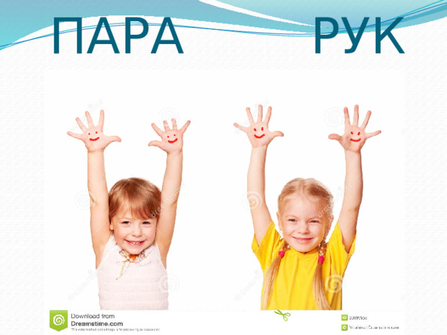 ПАРА РУК 