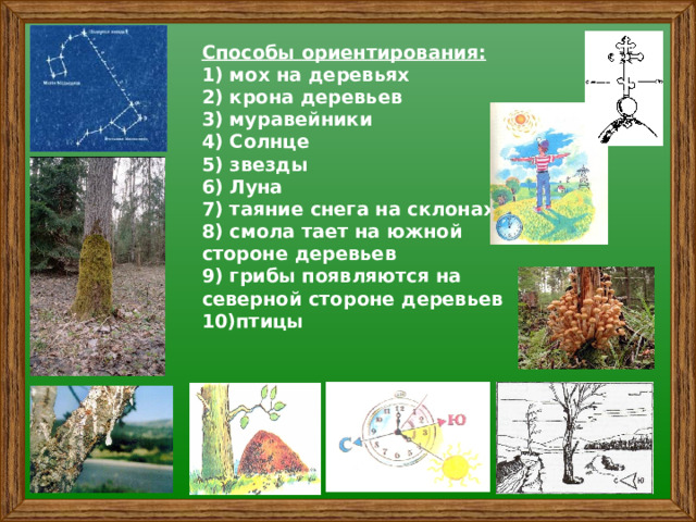 Способы ориентирования:  1) мох на деревьях  2) крона деревьев  3) муравейники  4) Солнце  5) звезды  6) Луна  7) таяние снега на склонах  8) смола тает на южной стороне деревьев  9) грибы появляются на северной стороне деревьев  10)птицы 