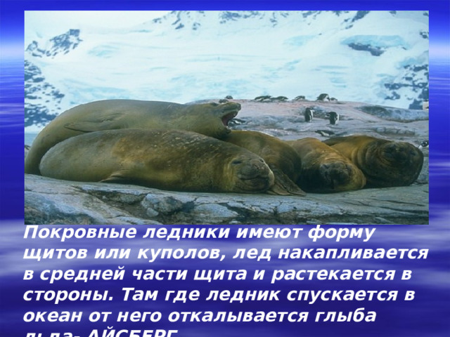 Покровные ледники имеют форму щитов или куполов, лед накапливается в средней части щита и растекается в стороны. Там где ледник спускается в океан от него откалывается глыба льда- АЙСБЕРГ. 