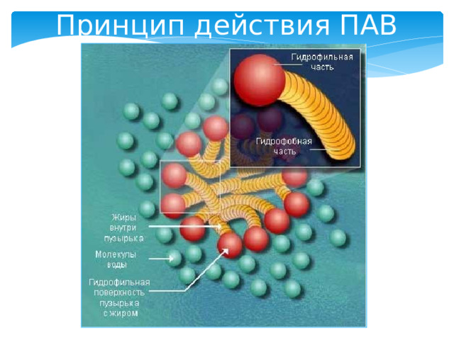 Принцип действия ПАВ 