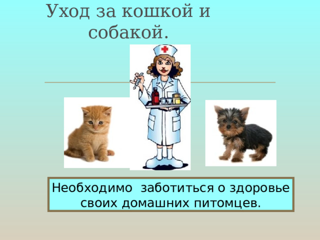 Уход за кошкой и собакой. Необходимо заботиться о здоровье своих домашних питомцев. 