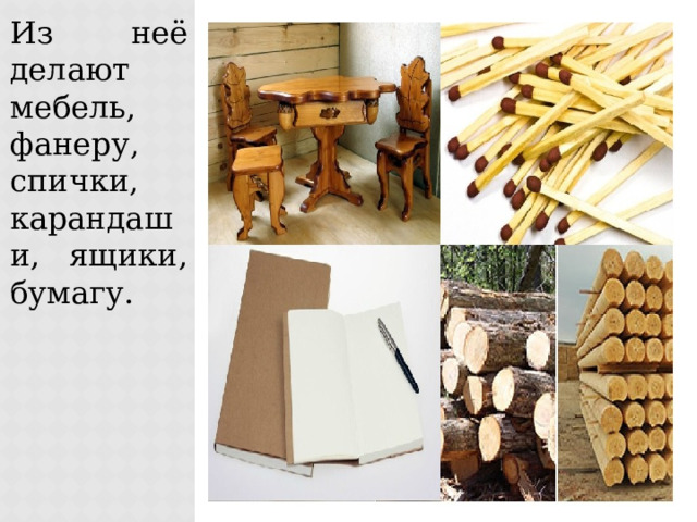 Из неё делают мебель, фанеру, спички, карандаши, ящики, бумагу. 