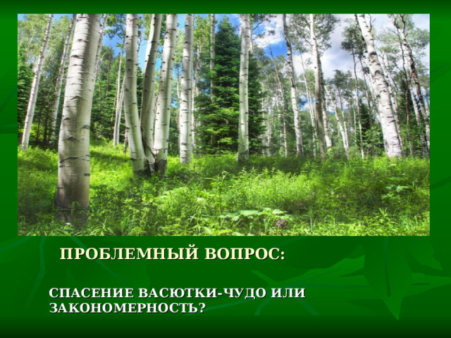 ПРОБЛЕМНЫЙ ВОПРОС:  СПАСЕНИЕ ВАСЮТКИ-ЧУДО ИЛИ ЗАКОНОМЕРНОСТЬ? 