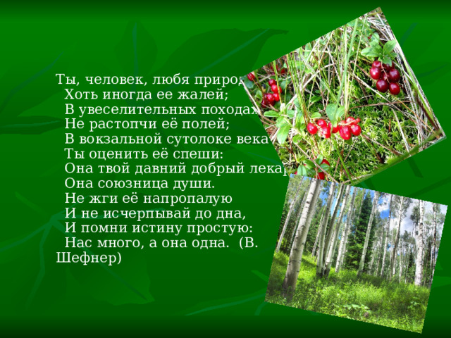Ты, человек, любя природу,  Хоть иногда ее жалей;  В увеселительных походах  Не растопчи её полей;  В вокзальной сутолоке века  Ты оценить её спеши:  Она твой давний добрый лекарь,  Она союзница души.  Не жги её напропалую  И не исчерпывай до дна,  И помни истину простую:  Нас много, а она одна. (В. Шефнер) 