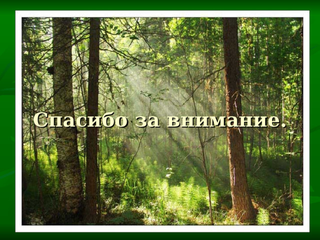 Спасибо за внимание. 