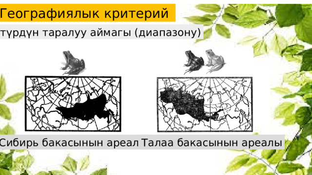 Географиялык критерий  түрдүн таралуу аймагы (диапазону) Сибирь бакасынын ареалы Талаа бакасынын ареалы 
