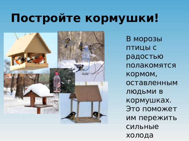 Постройте кормушки! В морозы птицы с радостью полакомятся кормом, оставленным людьми в кормушках. Это поможет им пережить сильные холода  