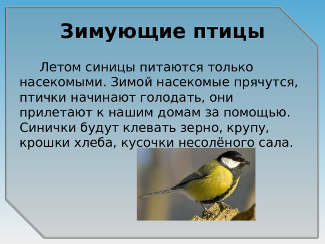 Зимующие птицы  Летом синицы питаются только насекомыми. Зимой насекомые прячутся, птички начинают голодать, они прилетают к нашим домам за помощью. Синички будут клевать зерно, крупу, крошки хлеба, кусочки несолёного сала.  