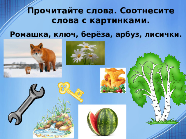 Прочитайте слова. Соотнесите слова с картинками. Ромашка, ключ, берёза, арбуз, лисички.  