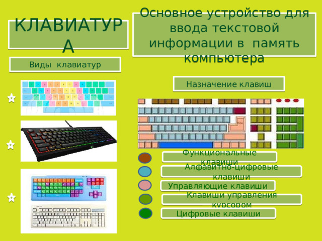 Основное устройство для ввода текстовой информации в память компьютера КЛАВИАТУРА Виды клавиатур Назначение клавиш Функциональные клавиши Алфавитно-цифровые клавиши Управляющие клавиши Клавиши управления курсором Цифровые клавиши 
