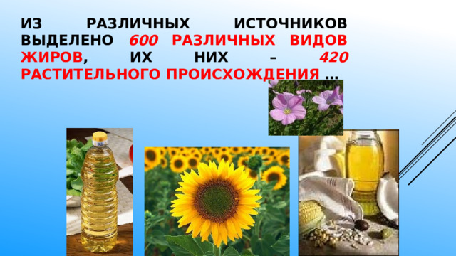 Из различных источников выделено 600 различных видов жиров , их них – 420 растительного происхождения … 