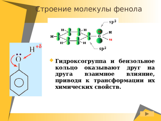 Строение молекулы фенола Гидроксогруппа и бензольное кольцо оказывают друг на друга взаимное влияние, приводя к трансформации их химических свойств. 
