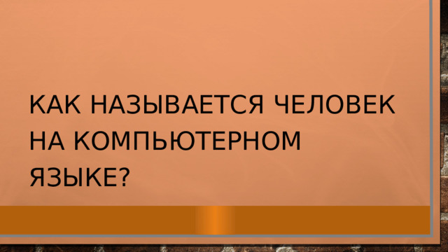 Как называется человек на компьютерном языке? 