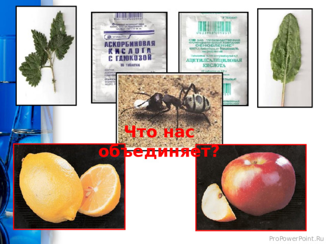 Что нас объединяет?  