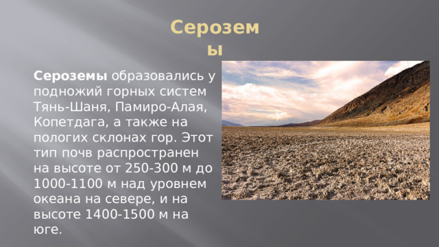 Сероземы Сероземы образовались у подножий горных систем Тянь-Шаня, Памиро-Алая, Копетдага, а также на пологих склонах гор. Этот тип почв распространен на высоте от 250-300 м до 1000-1100 м над уровнем океана на севере, и на высоте 1400-1500 м на юге. 