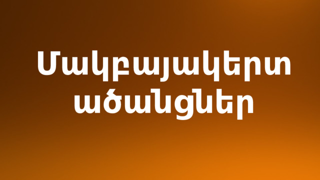 Մակբայակերտ ածանցներ 