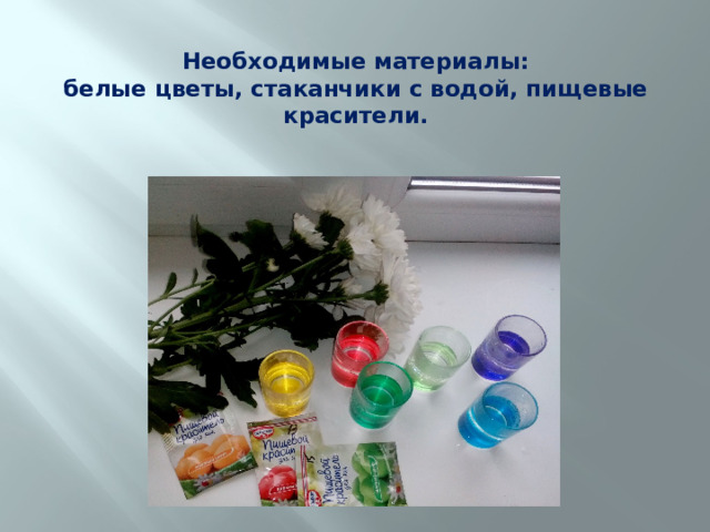 Необходимые материалы:  белые цветы, стаканчики с водой, пищевые красители.  