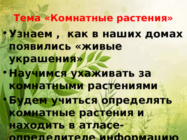 Тема «Комнатные растения» Узнаем , как в наших домах появились «живые украшения» Научимся ухаживать за комнатными растениями Будем учиться определять комнатные растения и находить в атласе-определителе информацию о них 