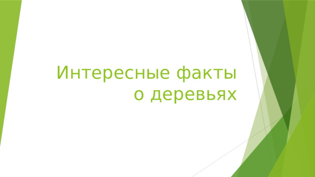 Интересные факты о деревьях 
