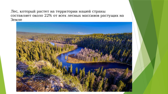Лес, который растет на территории нашей страны составляет около 22% от всех лесных массивов растущих на Земле   