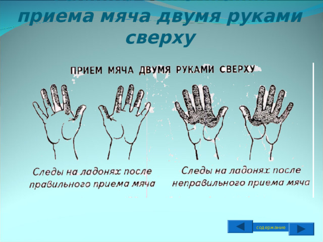 Техника выполнения приема мяча двумя руками сверху содержание 