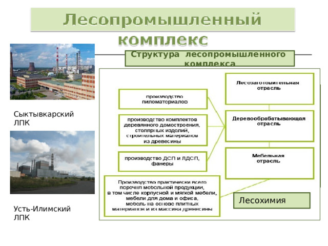 Структура лесопромышленного комплекса Сыктывкарский ЛПК Архангельск Сыктывкар Лесопромышленные комплексы Лесосибирск Усть-Илимск Красноярск Амурск Братск  Лесохимия Усть-Илимский ЛПК 