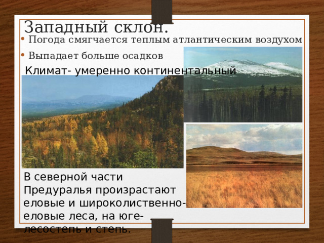 Западный склон. Погода смягчается теплым атлантическим воздухом Выпадает больше осадков Климат- умеренно континентальный В северной части Предуралья произрастают еловые и широколиственно-еловые леса, на юге- лесостепь и степь. 