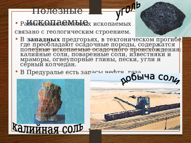 Полезные ископаемые Размещение полезных ископаемых связано с геологическим строением. В западных предгорьях, в тектоническом прогибе, где преобладают осадочные породы, содержатся полезные ископаемые осадочного происхождения: калийные соли, поваренные соли, известняки и мраморы, огнеупорные глины, пески, угли и серный колчедан. В Предуралье есть запасы нефти, газа. 