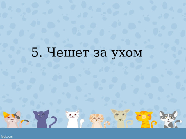 5. Чешет за ухом 
