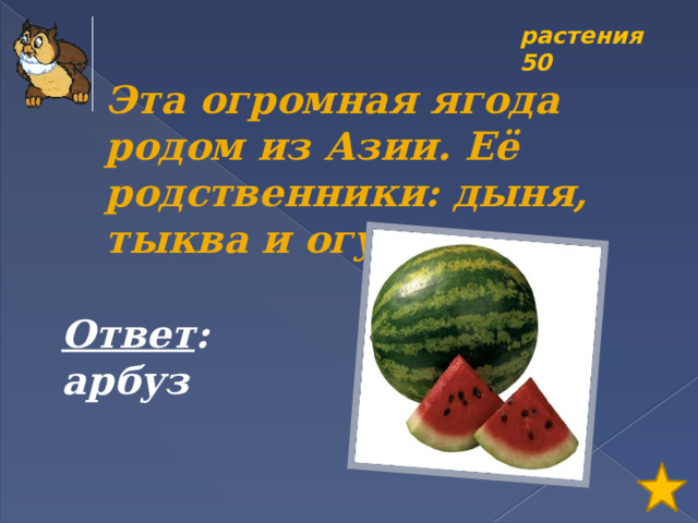 растения 50 Эта огромная ягода родом из Азии. Её родственники: дыня, тыква и огурец. Ответ : арбуз 