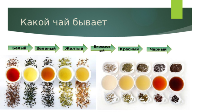 Какой чай бывает Белый Желтый Зеленый Бирюзовый Красный Черный 