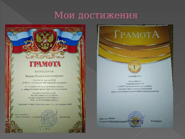 Мои достижения 