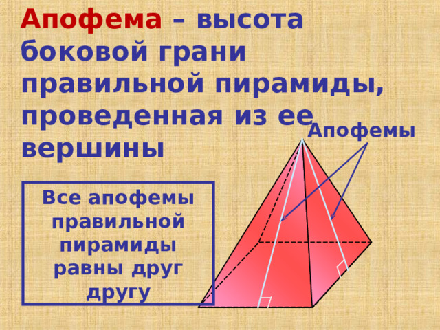 Апофема  – высота боковой грани правильной пирамиды, проведенная из ее вершины Апофемы Все апофемы правильной пирамиды равны друг другу 