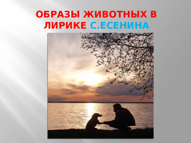 ОБРАЗЫ ЖИВОТНЫХ В ЛИРИКЕ С.ЕСЕНИНА 