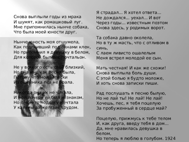  Снова выплыли годы из мрака  И шумят, как ромашковый луг.  Мне припомнилась нынче собака,  Что была моей юности друг.   Нынче юность моя отшумела,  Как подгнивший под окнами клен,  Но припомнил я девушку в белом,  Для которой был пес почтальон.   Не у всякого есть свой близкий,  Но она мне как песня была,  Потому что мои записки  Из ошейника пса не брала.   Никогда она их не читала,  И мой почерк ей был незнаком,  Но о чем-то подолгу мечтала  У калины за желтым прудом. Я страдал... Я хотел ответа...  Не дождался... уехал... И вот  Через годы... известным поэтом  Снова здесь, у родимых ворот.   Та собака давно околела,  Но в ту ж масть, что с отливом в синь,  С лаем ливисто ошалелым  Меня встрел молодой ее сын.   Мать честная! И как же схожи!  Снова выплыла боль души.  С этой болью я будто моложе,  И хоть снова записки пиши.   Рад послушать я песню былую,  Но не лай ты! Не лай! Не лай!  Хочешь, пес, я тебя поцелую  За пробуженный в сердце май?   Поцелую, прижмусь к тебе телом  И, как друга, введу тебя в дом...  Да, мне нравилась девушка в белом,  Но теперь я люблю в голубом. 1924 г. 