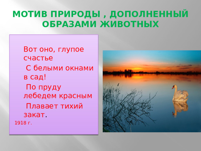МОТИВ ПРИРОДЫ , ДОПОЛНЕННЫЙ ОБРАЗАМИ ЖИВОТНЫХ  Вот оно, глупое счастье  С белыми окнами в сад!  По пруду лебедем красным  Плавает тихий закат . 1918 г. 