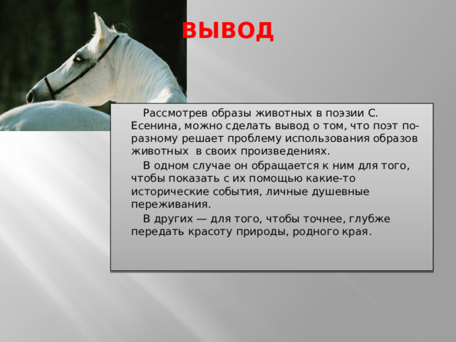ВЫВОД    Рассмотрев образы животных в поэзии С. Есенина, можно сделать вывод о том, что поэт по-разному решает проблему использования образов животных в своих произведениях.  В одном случае он обращается к ним для того, чтобы показать с их помощью какие-то исторические события, личные душевные переживания.  В других — для того, чтобы точнее, глубже передать красоту природы, родного края.     