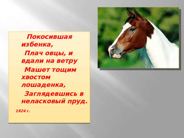  Покосившая избенка,  Плач овцы, и вдали на ветру  Машет тощим хвостом лошаденка,  Заглядевшись в неласковый пруд.   1924 г. 
