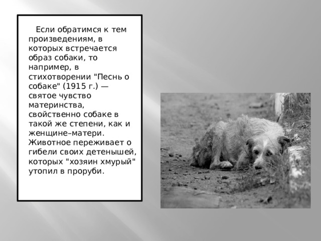    Если обратимся к тем произведениям, в которых встречается образ собаки, то например, в стихотворении 