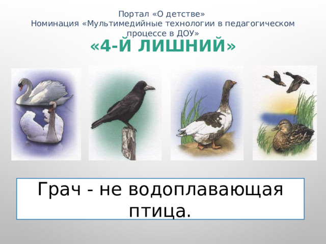 Портал «О детстве» Номинация «Мультимедийные технологии в педагогическом процессе в ДОУ» «4-й лишний» Грач - не водоплавающая птица. 