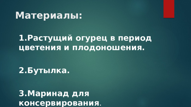 Материалы: 1.Растущий огурец в период цветения и плодоношения.  2.Бутылка.  3.Маринад для консервирования . 