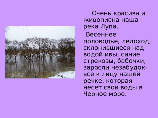  Очень красива и живописна наша река Лупа.  Весеннее половодье, ледоход, склонившиеся над водой ивы, синие стрекозы, бабочки, заросли незабудок- все к лицу нашей речке, которая несет свои воды в Черное море. 