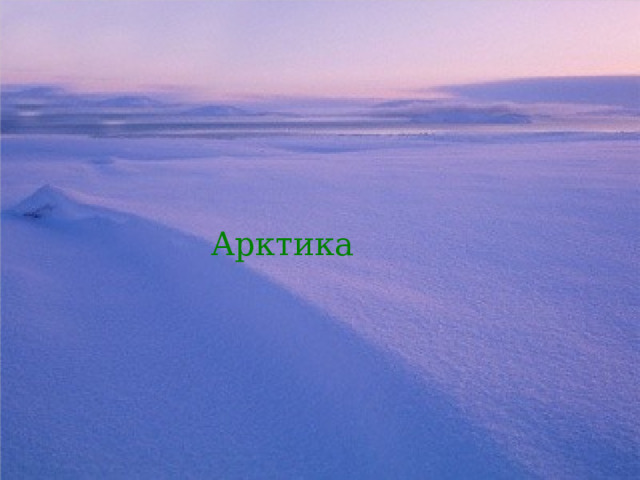 Арктика  